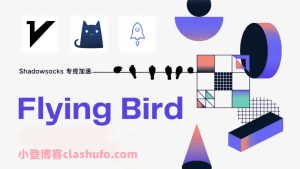 飞鸟机场FlyingBird测评 - 小登笔记